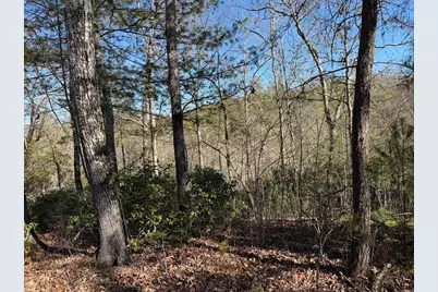 Lot #20 Yellow Maple Drive, Murphy, NC 28906 - Photo 9