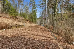 115 Crowe Mountain Ln, Murphy, NC 28906 - Photo 19
