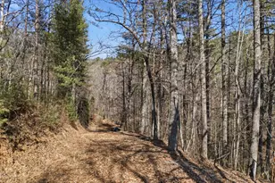 115 Crowe Mountain Ln, Murphy, NC 28906 - Photo 3