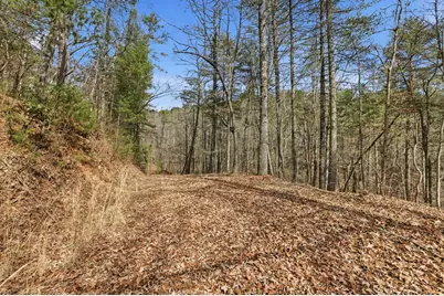 115 Crowe Mountain Lane, Murphy, NC 28906 - Photo 33