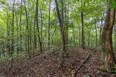 3 Ac Chestnut Flats Road, Andrews, NC 28901 - Photo 3