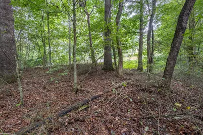 3 Ac Chestnut Flats Road, Andrews, NC 28901 - Photo 1