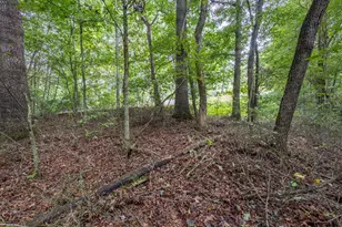 3 Ac Chestnut Flats Rd, Andrews, NC 28901 - Photo 1