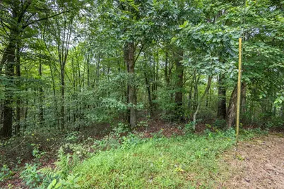 3 Ac Chestnut Flats Road, Andrews, NC 28901 - Photo 5