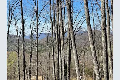 22M 26M Ridges Fairway, Hayesville, NC 28904 - Photo 1