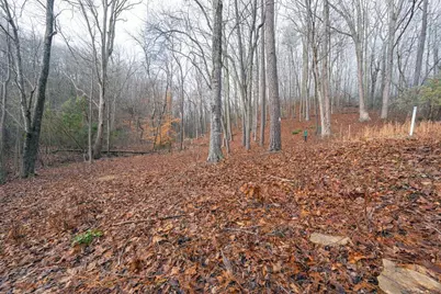 Lot 127 Serene Pond Trail, Murphy, NC 28906 - Photo 3