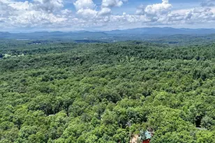 885 Tomahawk Trail, Blairsville, GA 30512 - Photo 87