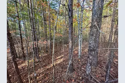 0 Dones Drive, Murphy, NC 28906 - Photo 3