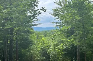 Lot 49 Burger Rd, Murphy, NC 28906 - Photo 1