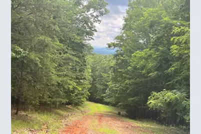 Lot 49 Burger Road, Murphy, NC 28906 - Photo 7