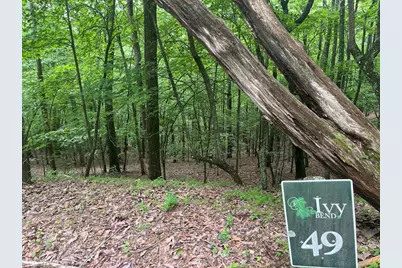 Lot 49 Burger Road, Murphy, NC 28906 - Photo 3