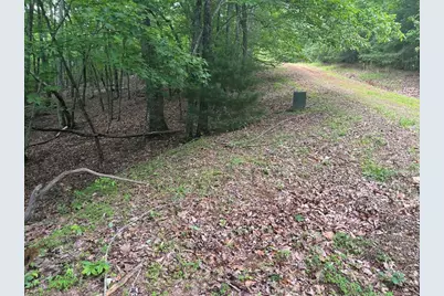 Lot 49 Burger Road, Murphy, NC 28906 - Photo 5