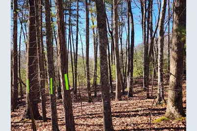 Lot17 Gray Grouse Trail, Murphy, NC 28906 - Photo 1