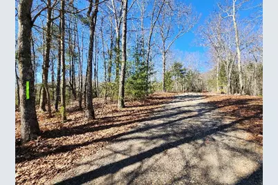 Lot17 Gray Grouse Trail, Murphy, NC 28906 - Photo 7
