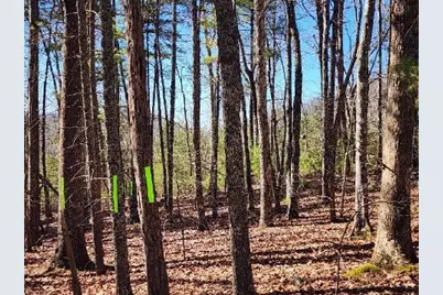 Lot17 Gray Grouse Trail, Murphy, NC 28906 - Photo 3