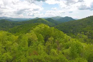 170 Polaris Wy, Topton, NC 28781 - Photo 55