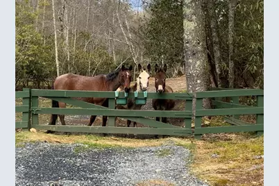 170 Polaris Way, Bryson City, NC 28713 - Photo 55