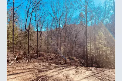 Lot 205 Windy Mountain Peak Lane, Murphy, NC 28906 - Photo 15
