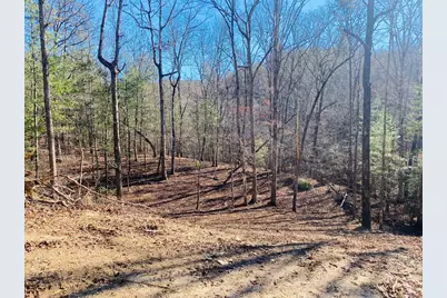 Lot 205 Windy Mountain Peak Lane, Murphy, NC 28906 - Photo 3