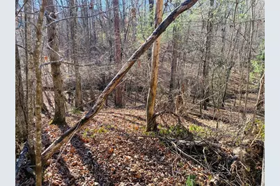 Lot 205 Windy Mountain Peak Lane, Murphy, NC 28906 - Photo 7