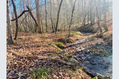 Lot 205 Windy Mountain Peak Lane, Murphy, NC 28906 - Photo 9