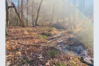 Lot 205 Windy Mountain Peak Lane, Murphy, NC 28906 - Photo 5