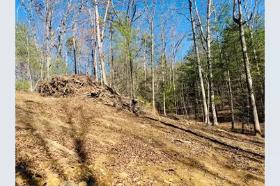 Lot 205 Windy Mountain Peak Lane, Murphy, NC 28906 - Photo 13
