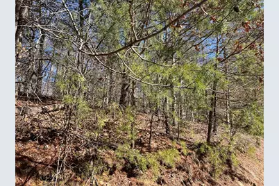 Lot 19 Mission Ridge, Hayesville, NC 28904 - Photo 9