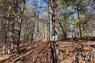 Lot 19 Mission Ridge, Hayesville, NC 28904 - Photo 1