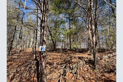 Lot 19 Mission Ridge, Hayesville, NC 28904 - Photo 7