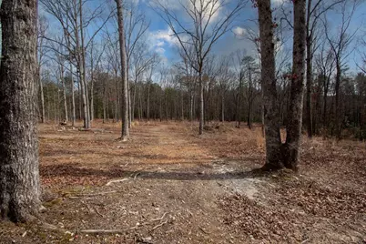 329 Marrestop Road, Murphy, NC 28906 - Photo 1