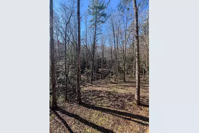 205 Chestnut Oaks Drive, Murphy, NC 28906 - Photo 5