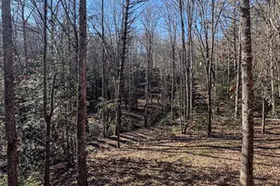 205 Chestnut Oaks Dr, Murphy, NC 28906 - Photo 5