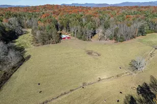 5981 Candy Mountain Rd, Murphy, NC 28906 - Photo 75
