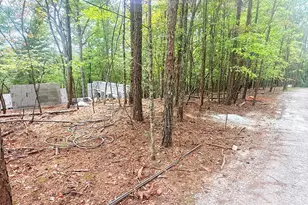 67 Noelles Pass, Murphy, NC 28906 - Photo 5