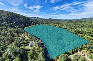 296 Caddis Trl, Hayesville, NC 28904 - Photo 73