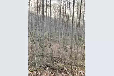 00 Carringer Road, Robbinsville, NC 28771 - Photo 3