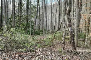 00 Carringer Rd, Robbinsville, NC 28771 - Photo 1