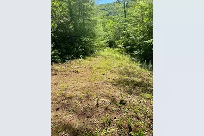 00 Deer Run, Robbinsville, NC 28771 - Photo 7