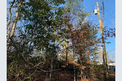 166 Qualla Trail, Murphy, NC 28906 - Photo 17