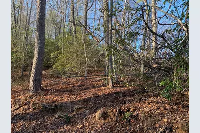 166 Qualla Trail, Murphy, NC 28906 - Photo 31