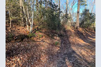 166 Qualla Trail, Murphy, NC 28906 - Photo 5