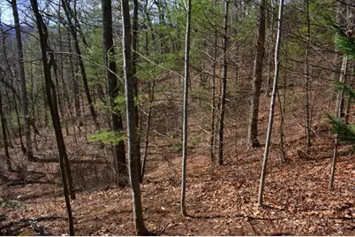 00 Chestnut Ridge, Robbinsville, NC 28771 - Photo 5