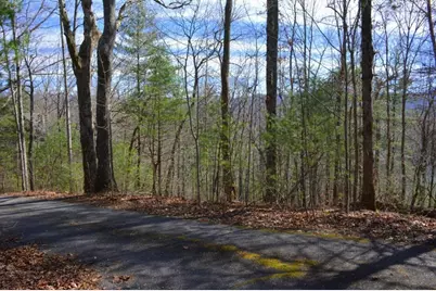 00 Chestnut Ridge, Robbinsville, NC 28771 - Photo 3
