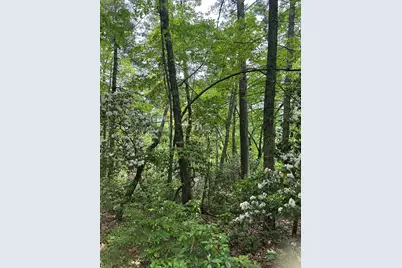 00 Top Horseshoe Ridge, Murphy, NC 28906 - Photo 3