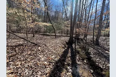 Lot 164 Tracks Hollow, Murphy, NC 28906 - Photo 11