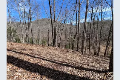 Lot 164 Tracks Hollow, Murphy, NC 28906 - Photo 3