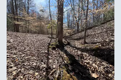 Lot 164 Tracks Hollow, Murphy, NC 28906 - Photo 7