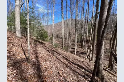 Lot 164 Tracks Hollow, Murphy, NC 28906 - Photo 5