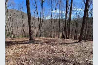 Lot 164 Tracks Hollow, Murphy, NC 28906 - Photo 1